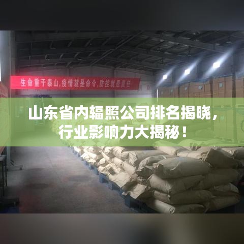 山东省内辐照公司排名揭晓，行业影响力大揭秘！