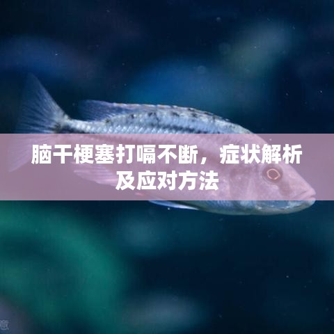 脑干梗塞打嗝不断，症状解析及应对方法