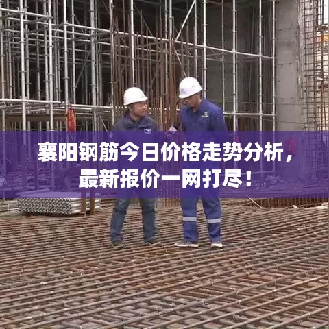 襄阳钢筋今日价格走势分析，最新报价一网打尽！