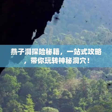 燕子洞探险秘籍，一站式攻略，带你玩转神秘洞穴！