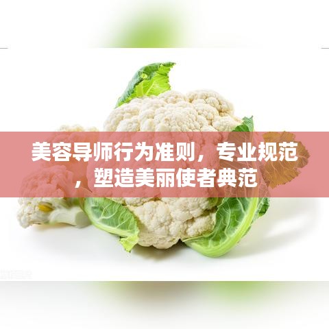 美容导师行为准则，专业规范，塑造美丽使者典范
