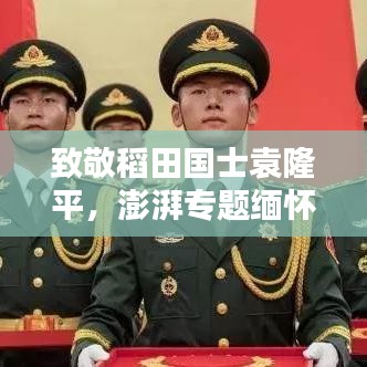 致敬稻田国士袁隆平，澎湃专题缅怀传奇人生