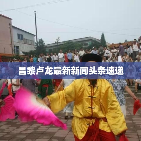 昌黎卢龙最新新闻头条速递