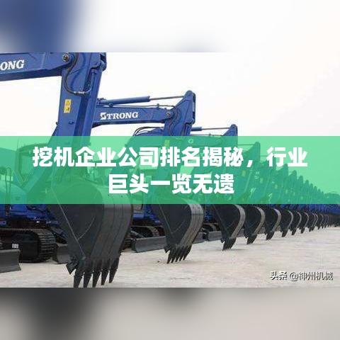 挖机企业公司排名揭秘，行业巨头一览无遗