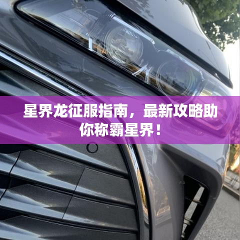 星界龙征服指南，最新攻略助你称霸星界！