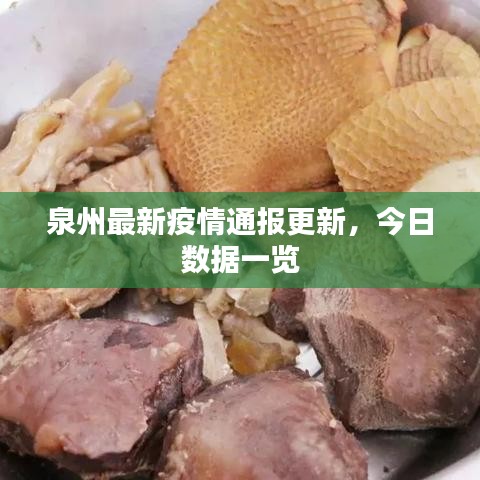 泉州最新疫情通报更新，今日数据一览