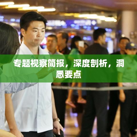 专题视察简报，深度剖析，洞悉要点