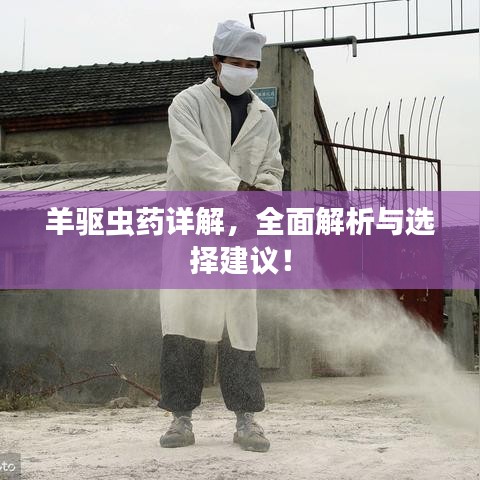 羊驱虫药详解，全面解析与选择建议！
