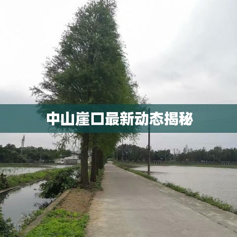 中山崖口最新动态揭秘