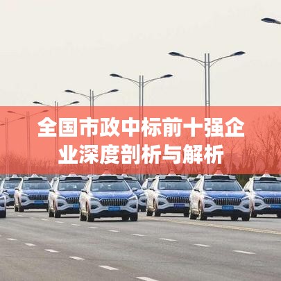 全国市政中标前十强企业深度剖析与解析