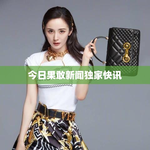 今日果敢新闻独家快讯