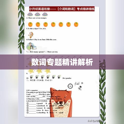 数词专题精讲解析