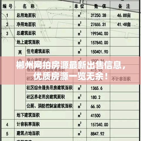 郴州网拍房源最新出售信息，优质房源一览无余！