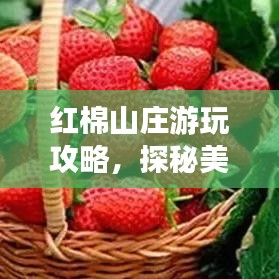 红棉山庄游玩攻略，探秘美景，尽享度假时光！