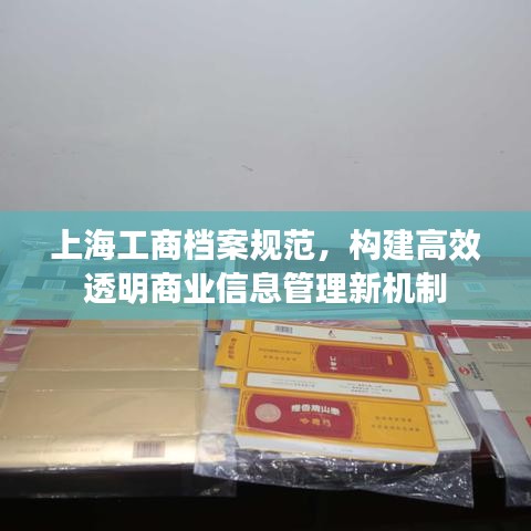 上海工商档案规范，构建高效透明商业信息管理新机制