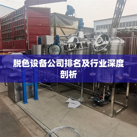 脱色设备公司排名及行业深度剖析