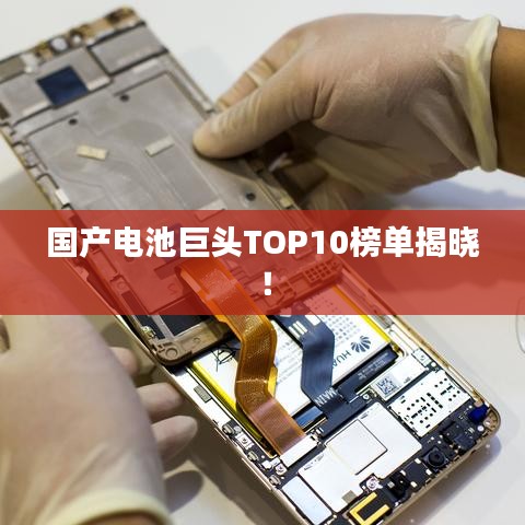 国产电池巨头TOP10榜单揭晓！