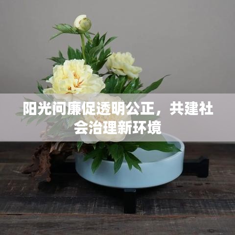 阳光问廉促透明公正，共建社会治理新环境