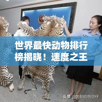 世界最快动物排行榜揭晓！速度之王究竟是谁？