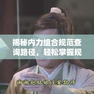 揭秘内力组合规范查询路径，轻松掌握规范信息