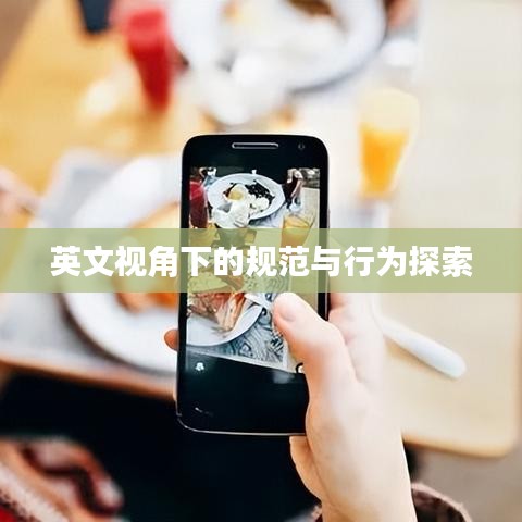 英文视角下的规范与行为探索