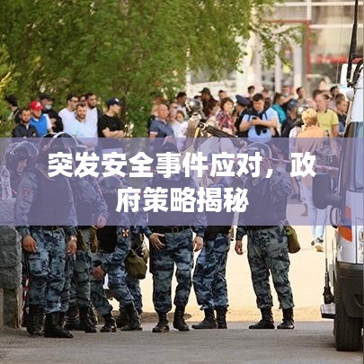 突发安全事件应对，政府策略揭秘