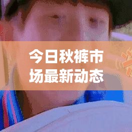 今日秋裤市场最新动态报道
