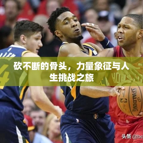 砍不断的骨头，力量象征与人生挑战之旅