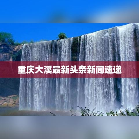 重庆大溪最新头条新闻速递
