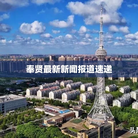 奉贤最新新闻报道速递
