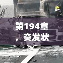 第194章，突发状况紧急来袭