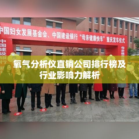 氧气分析仪直销公司排行榜及行业影响力解析