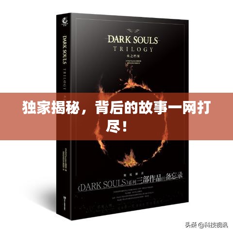 独家揭秘，背后的故事一网打尽！
