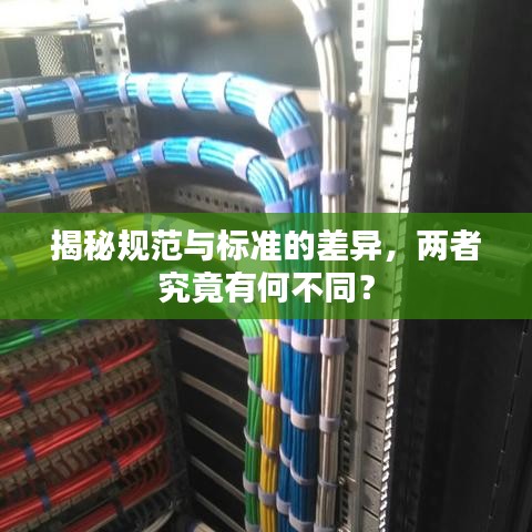 揭秘规范与标准的差异，两者究竟有何不同？