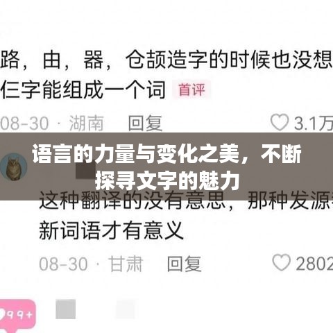 语言的力量与变化之美，不断探寻文字的魅力