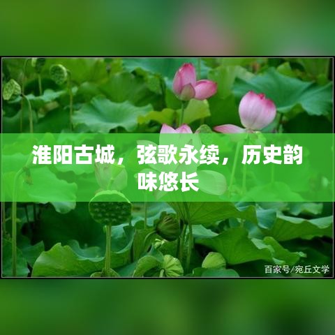 淮阳古城，弦歌永续，历史韵味悠长