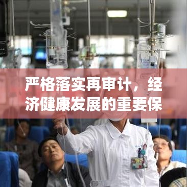 严格落实再审计，经济健康发展的重要保障之路