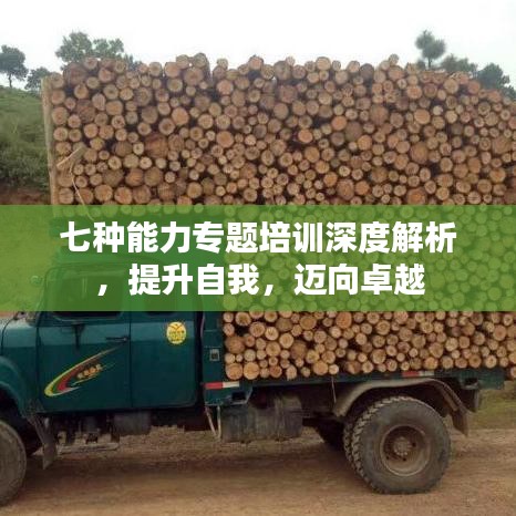 七种能力专题培训深度解析，提升自我，迈向卓越