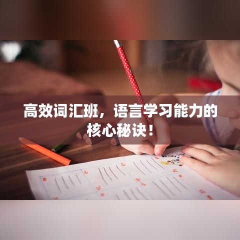 高效词汇班，语言学习能力的核心秘诀！