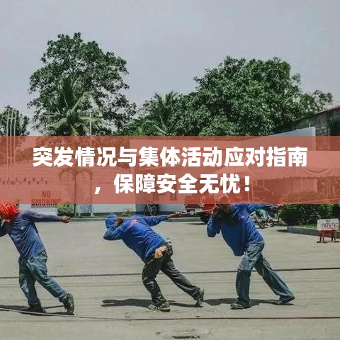 突发情况与集体活动应对指南，保障安全无忧！