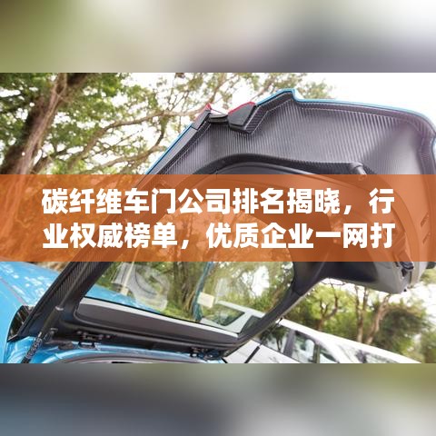碳纤维车门公司排名揭晓，行业权威榜单，优质企业一网打尽！
