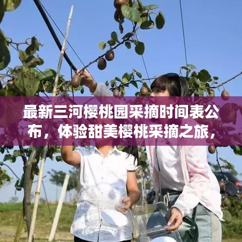 最新三河樱桃园采摘时间表公布，体验甜美樱桃采摘之旅，尽享自然盛宴！