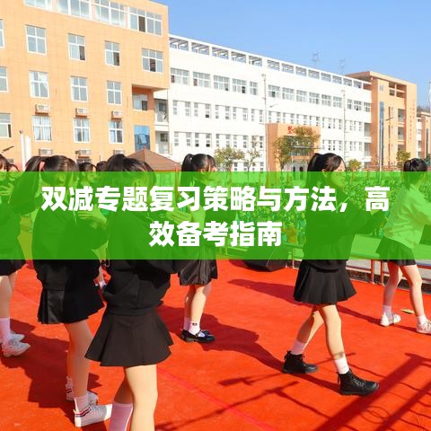 双减专题复习策略与方法，高效备考指南