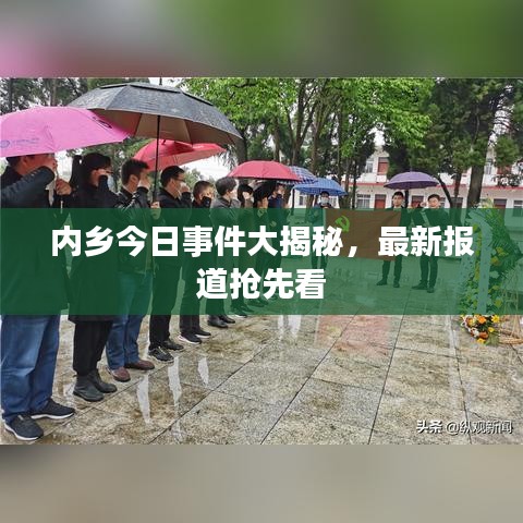 内乡今日事件大揭秘，最新报道抢先看