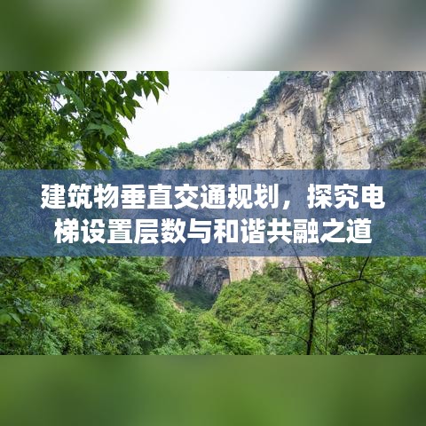 建筑物垂直交通规划，探究电梯设置层数与和谐共融之道