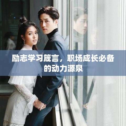 澹泊明志