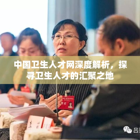 中国卫生人才网深度解析，探寻卫生人才的汇聚之地
