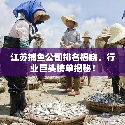 江苏捕鱼公司排名揭晓，行业巨头榜单揭秘！