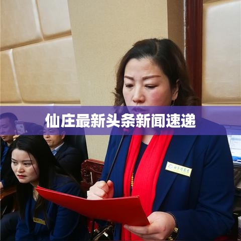 仙庄最新头条新闻速递