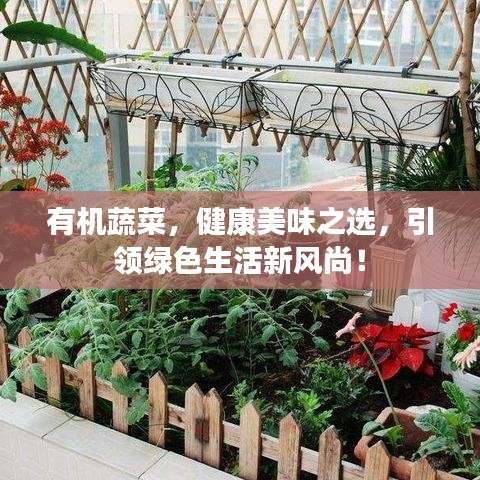 2025年5月27日 第2页